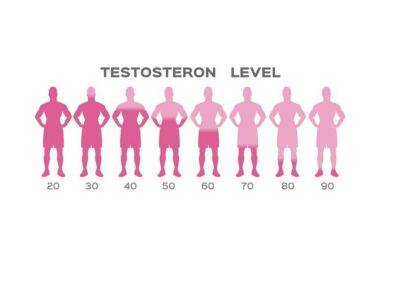 Как тестостерон влияет на мужское здоровье, рассказали врачи