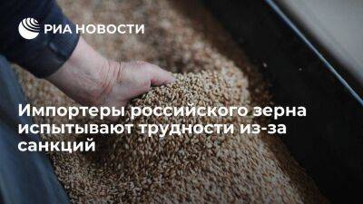 Швейцарские спецслужбы: импортеры российского зерна испытывают трудности из-за санкций