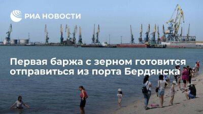 Глава ВГА Мелитопольского района: первая баржа с зерном отправится из порта Бердянска