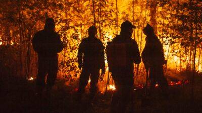 Более миллиона гектаров леса сгорело в Сибири и на Дальнем Востоке