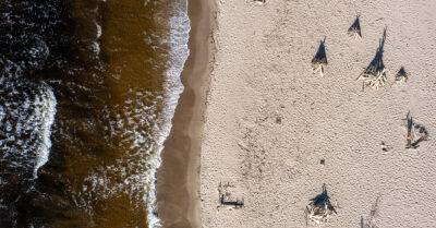 Эксперты: состояние Балтийского моря — самое худшее за последнее столетие