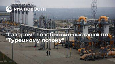 "Газпром" закончил техобслуживание и возобновил поставки газа по "Турецкому потоку"