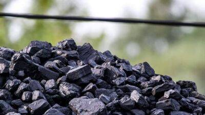 Загнали в уголь: какие страны дадут второй шанс каменному топливу