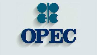 Эксперты ОПЕК+ понизили оценку профицита нефти в 2022 г. с 1,4 до 1 млн б/с
