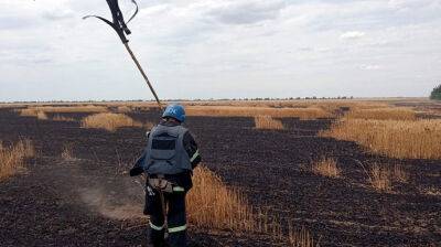 Российские обстрелы Николаевщины: сгорело 10 га пшеницы