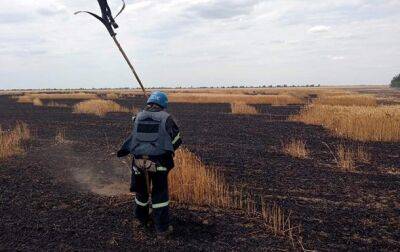 На Николаевщине из-за обстрелов РФ сгорели 10 га пшеницы