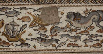 Одна из самых красивых в мире: в Израиле выставили мозаику римской эпохи (фото) - focus.ua - Украина - Санкт-Петербург - Израиль - Париж - Нью-Йорк - Римская Империя - Лод