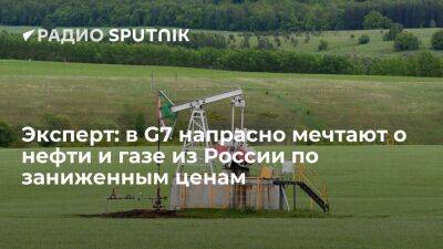 Эксперт: в G7 напрасно мечтают о нефти и газе из России по заниженным ценам