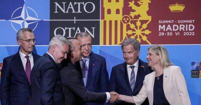 "Решение неизбежно": Турция поддержала вступление в НАТО Швеции и Финляндии (видео)