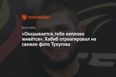 «Оказывается, тебе неплохо живётся». Хабиб отреагировал на свежее фото Тухугова