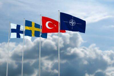 Турция поддержит вступление в НАТО Швеции и Финляндии
