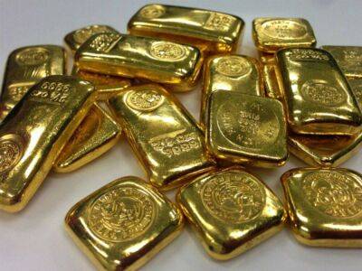 В России оценили последствия санкций G7 для золотодобытчиков
