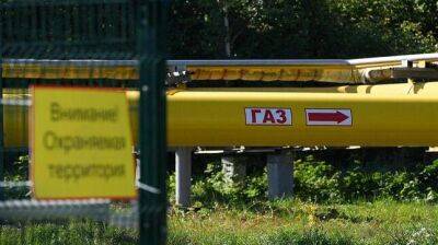 У Молдавии нет альтернатив российскому газу и электричеству – эксперт