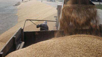 Правительство Грузии запретило экспорт пшеницы и ячменя до 1 июля 2023 года