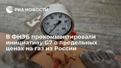 Замглавы ФНЭБ Гривач назвал ввод предельных цен на российский газ скрытой формой эмбарго