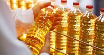 Для себя и на экспорт: сколько растительного масла произведет Украина в 2022 году