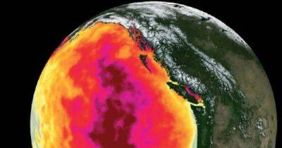 Смертоносная "капля" в Тихом океане: ученые разобрались в природе аномального явления