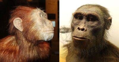 Появились на 1 млн лет раньше: предки современных людей оказались старше, чем считалось
