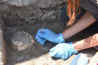 Археологи обнаружили в Помпеях черепаху и яйцо (Фото) - lenta.ua - Украина