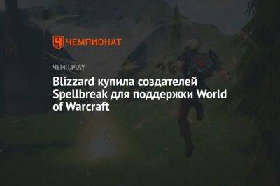 Blizzard купила создателей Spellbreak для поддержки World of Warcraft