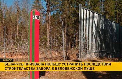 Правительство Польши призвали устранить последствия строительства забора на территории Беловежской пущи