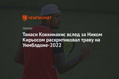 Танаси Коккинакис вслед за Ником Кирьосом раскритиковал траву на Уимблдоне-2022