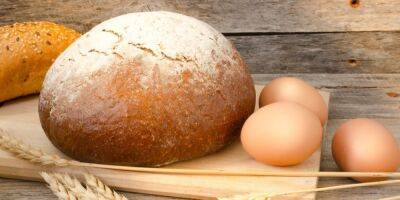 Яйца и хлеб. Как правильно хранить продукты, чтобы они долго оставались свежими
