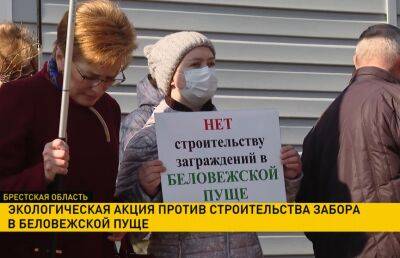Экологическая акция против строительства забора прошла в Беловежской пуще