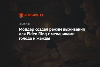 Моддер создал режим выживания для Elden Ring c механиками голода и жажды
