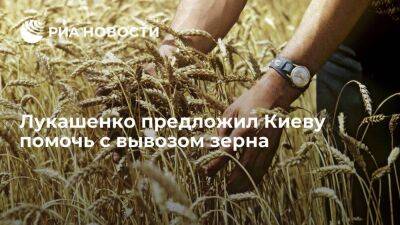 Лукашенко: Минск пожет помочь Киеву с вывозом зерна, но должен быть компромисс