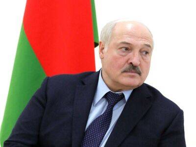 «Можем хоть завтра»: Лукашенко готов помочь США с поставками детского питания
