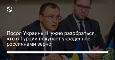 Посол Украины: Нужно разобраться, кто в Турции покупает украденное россиянами зерно