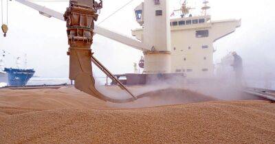Турция покупает у России краденое украинское зерно, — посол