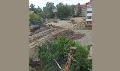 В Тобольске на улице Ремезова строители срубили несколько берез