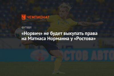 «Норвич» не будет выкупать права на Матиаса Норманна у «Ростова»