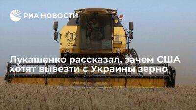 Лукашенко: США хотят вывезти с Украины зерно, забрать у ее жителей последний кусок хлеба