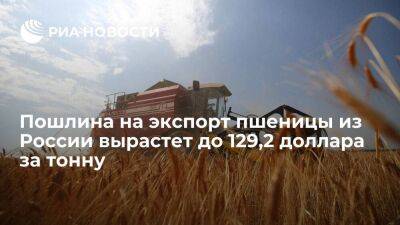Минсельхоз: пошлина на экспорт пшеницы с 8 июня вырастет до 129,2 доллара за тонну