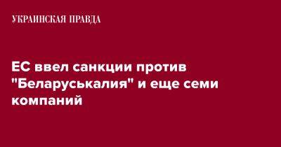 ЕС ввел санкции против "Беларуськалия" и еще семи компаний