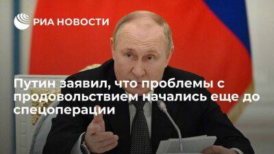 Путин: ситуация с проблемами продовольствия в мире начала складываться до спецоперации