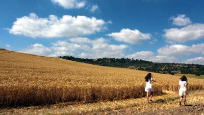 Хватит ли Израилю пшеницы: мировые цены неуклонно растут из-за войны в Украине