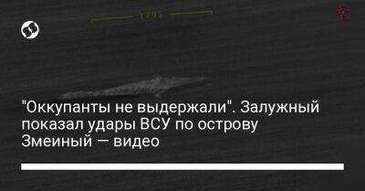 "Оккупанты не выдержали". Залужный показал удары ВСУ по острову Змеиный — видео