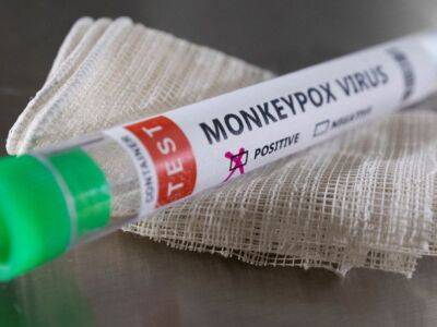 В ЕС начинают выпускать вакцины от оспы обезьян