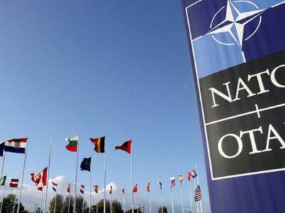 Турция на саммите в Мадриде поддержит членство Финляндии и Швеции в НАТО - заявление