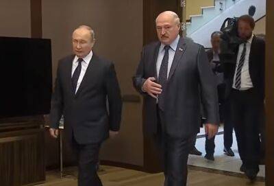 Лукашенко собирается пережить путина: Пионтковский объяснил тактику президента Беларуси по поводу Украины
