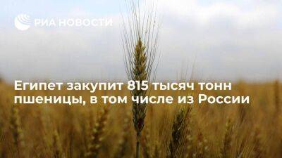 GASC: Египет по итогам тендера закупит 815 тысяч тонн пшеницы, в том числе из России