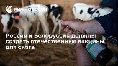 Россия и Белоруссия должны создать отечественные вакцины для скота