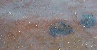 В воде на Кипсале обнаружено неизвестное вещество: это могут быть сточные воды - rus.delfi.lv - Рига - Латвия
