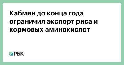 Владимир Путин - Оксана Лут - Кабмин до конца года ограничил экспорт риса и кормовых аминокислот - smartmoney.one - Россия