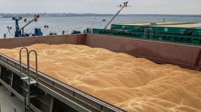 Турция покупает у россии краденое украинское зерно – Reuters