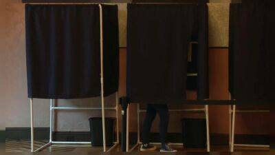 Французы, проживающие за рубежом, голосуют на парламентских выборах